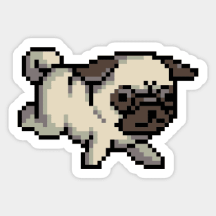 Pug Sticker